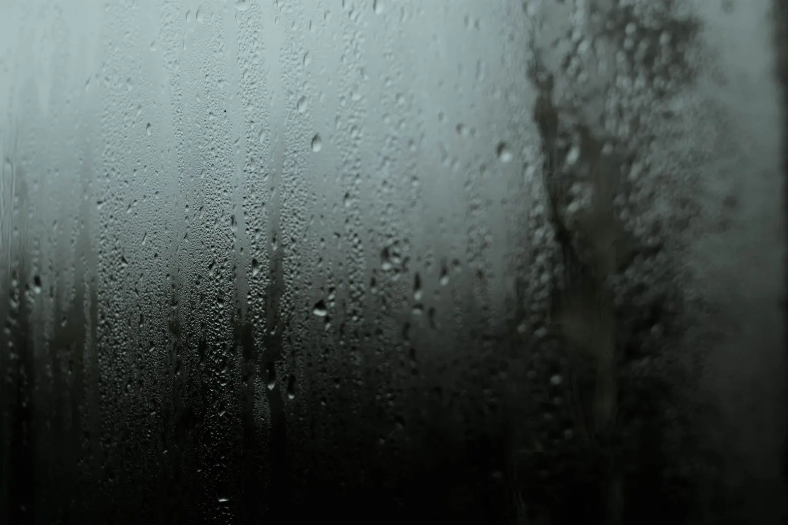 Condensation droplets running down a window pane