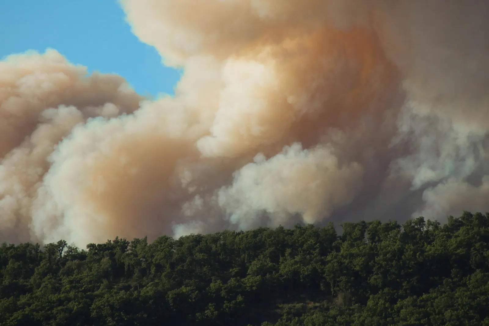 Plume of wildfire smoke rising over a forested ridge