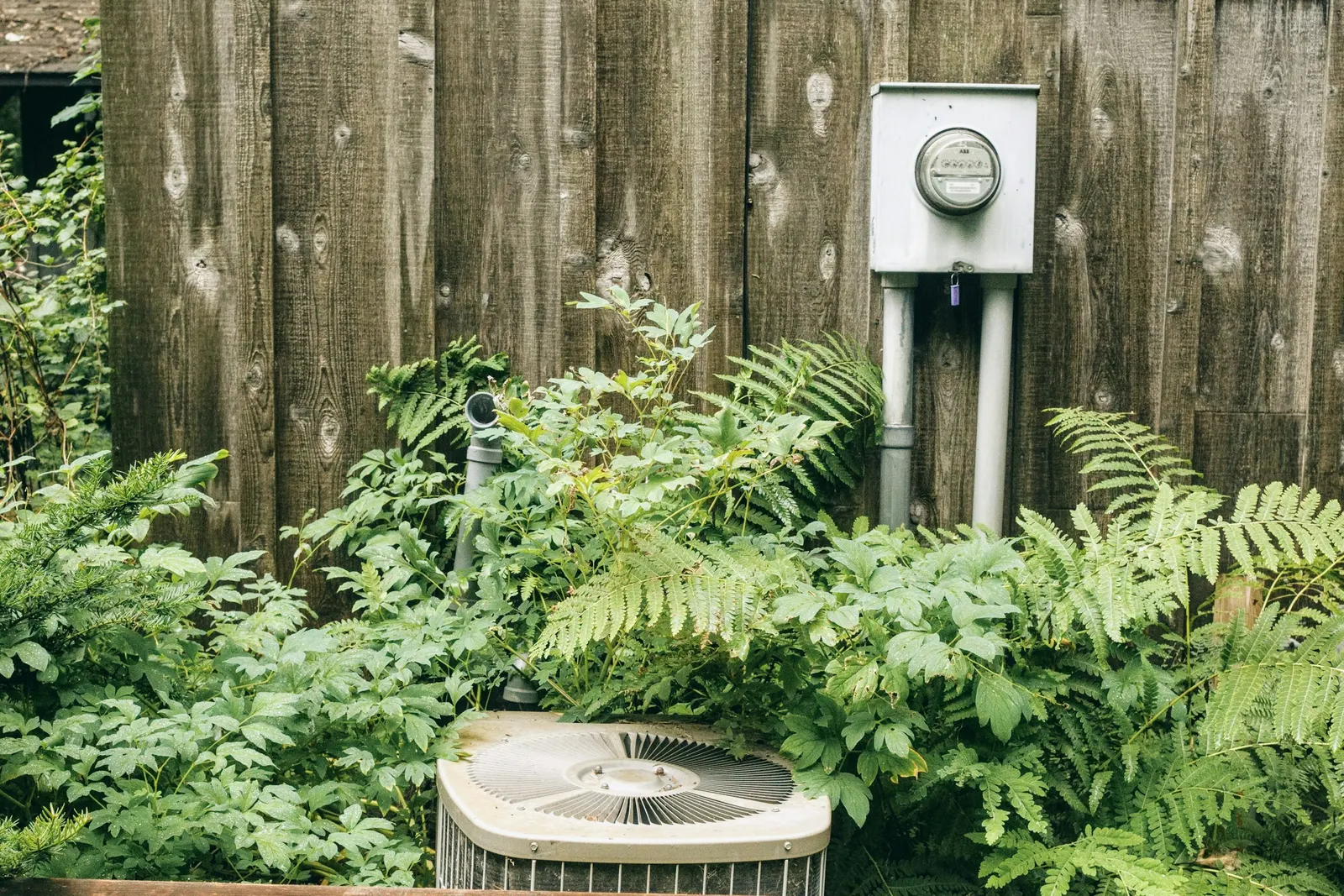 Outdoor air conditioner condenser among ferns beside a wooden fence