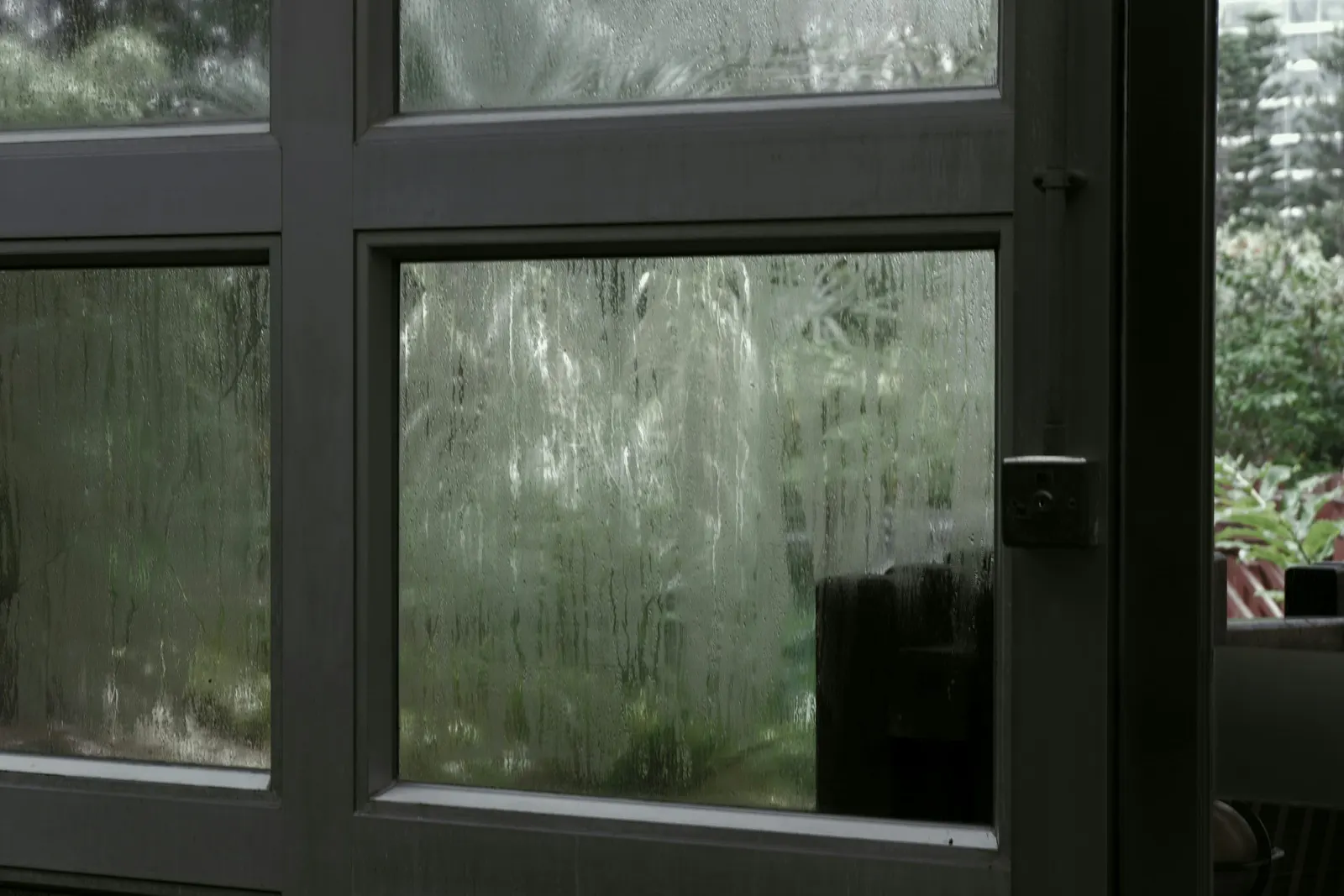 Water streaks on window glass with lush greenery outside.
